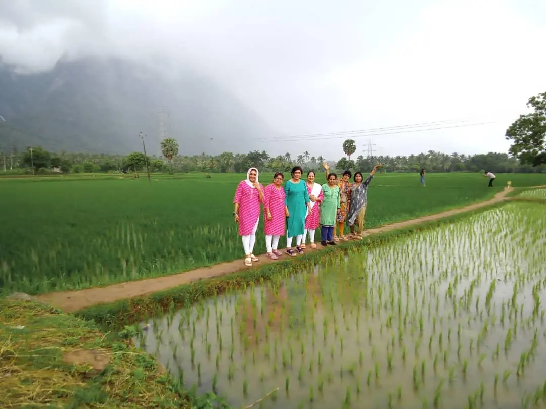 Kerala — a Tetra Travel journey moment (photo 49)