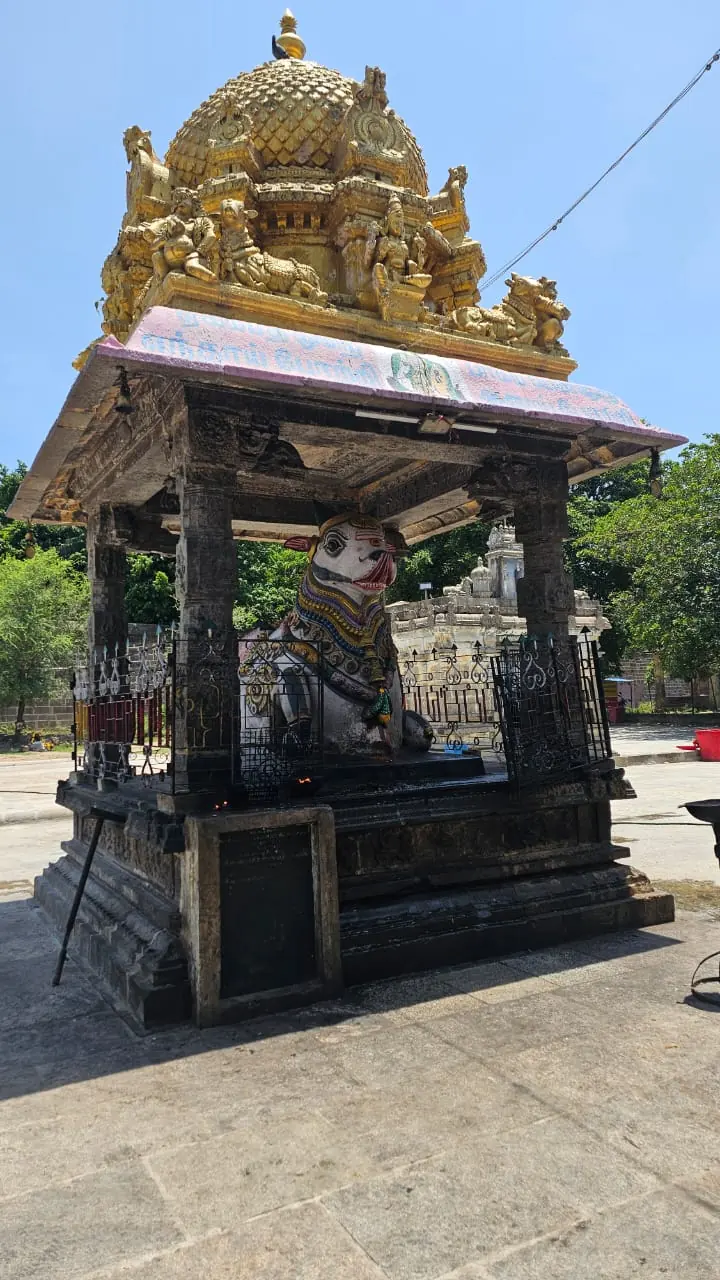 Tamil Nadu — a Tetra Travel journey moment (photo 05)