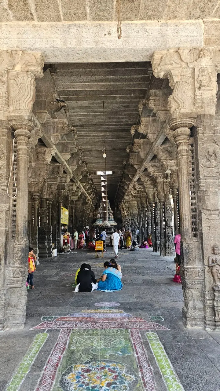 Tamil Nadu — a Tetra Travel journey moment (photo 06)