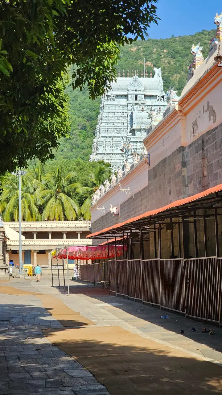 Tamil Nadu — a Tetra Travel journey moment (photo 08)
