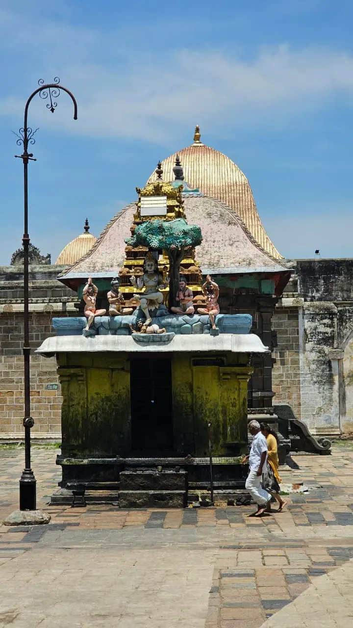 Tamil Nadu — a Tetra Travel journey moment (photo 09)
